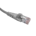 CP6G-20L_CONECTOR2