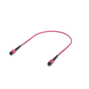 uacc-ofc-ma-mpmp-2.png