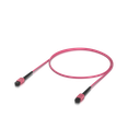 uacc-ofc-ma-mpmp-4.png