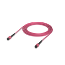 uacc-ofc-ma-mpmp-8.png