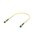uacc-ofc-sa-mpmp-2.png