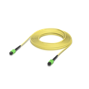 uacc-ofc-sa-mpmp-10.png