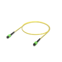 uacc-ofc-sa-mpmp-4.png