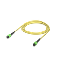 uacc-ofc-sa-mpmp-6.png