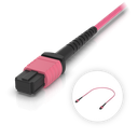 Ubiquiti UACC-OFC-MA-MPMP-0.5M Cable de fibra OM4 MPO-12 Type B UPC de 0,5 m