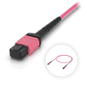 Ubiquiti UACC-OFC-MA-MPMP-1M Cable de fibra OM4 MPO-12 Type B UPC de 1 m