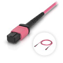 Ubiquiti UACC-OFC-MA-MPMP-3M Cable de fibra OM4 MPO-12 Type B UPC de 3 m
